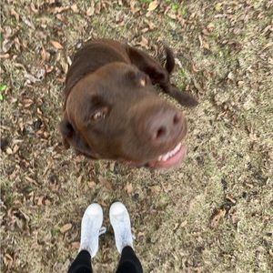 Meet your Posher, Hailey